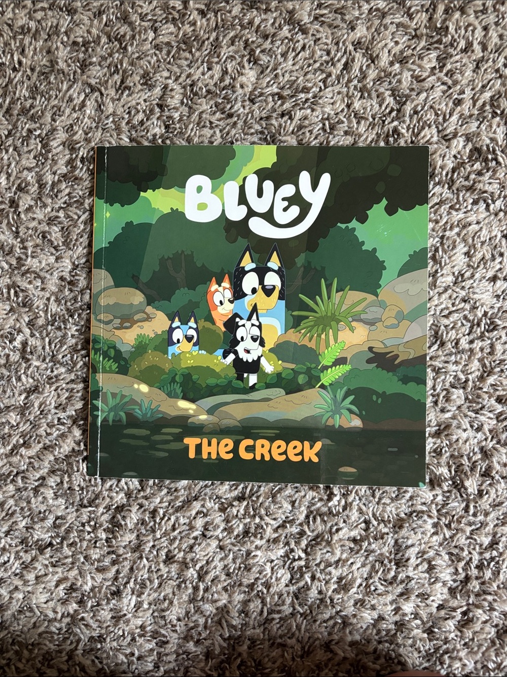Bluey: The Creek Illustrated Book